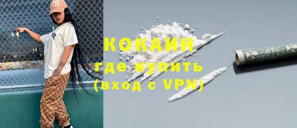 spice Богородицк