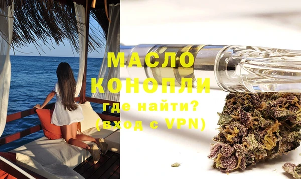 spice Богородицк