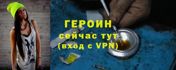 spice Богородицк