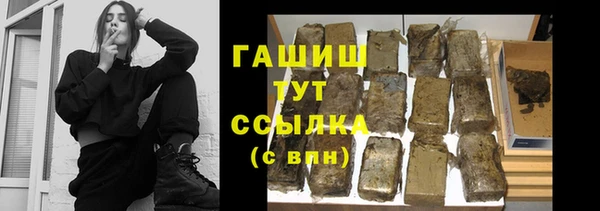 spice Богородицк