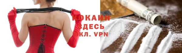 spice Богородицк