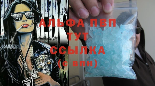 spice Богородицк