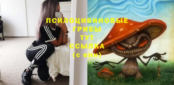 spice Богородицк