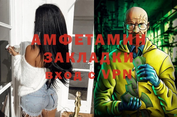 spice Богородицк