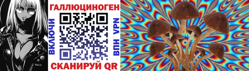 Псилоцибиновые грибы прущие грибы  наркотики  Якутск 